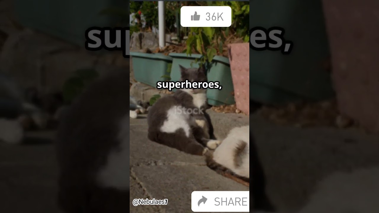 Street Cats: The Urban Feline Adventure!" 🐾✨ 