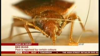 Bed Bugs - potential repellant? - BBC News - 26th April 2016