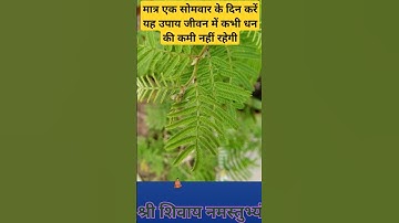 मात्र एक सोमवार के दिन करे यह उपाय जीवन में कभी धन की कमी नहीं रहेगी #pandit_pradeep_ji_mishra #upay