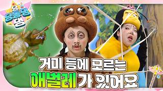 거미 환자 등에 모르는 애벌레가 붙어있어요!🕷️ 거미 환자에게 내린 처방은 과연?ㅣ딩동댕 딩동댕ㅣ거미 등에 모르는 애벌레가 있어요