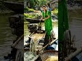 👉 Floating Paddy Cleaner 😳🔥 #Shorts #shortsfeed #subscribe #viral #desijugaad