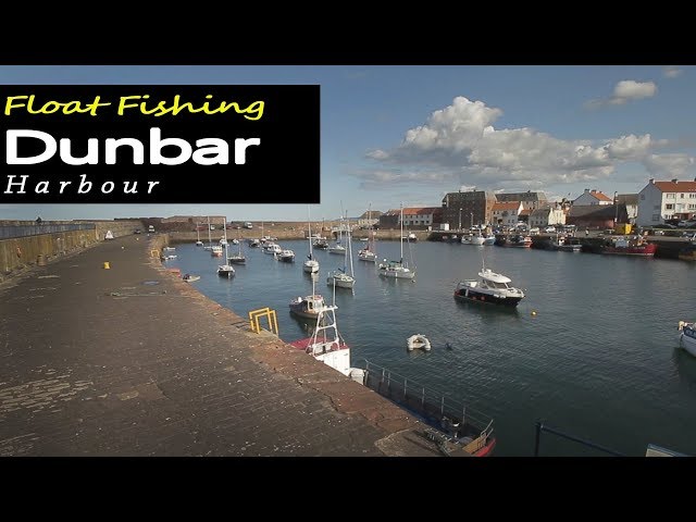 dunbar fishing lures Northbar Montauk Darter Black/Orange The Dynamic HD Trout offers a real life Umpqua Vis-A-Dun, Barr's - PMD