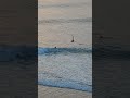 Бали. Букит. Улувату. Смотрим на серферов в Сингл Фин. Bali. Bukit. Uluwatu. Surfers in Single Fin