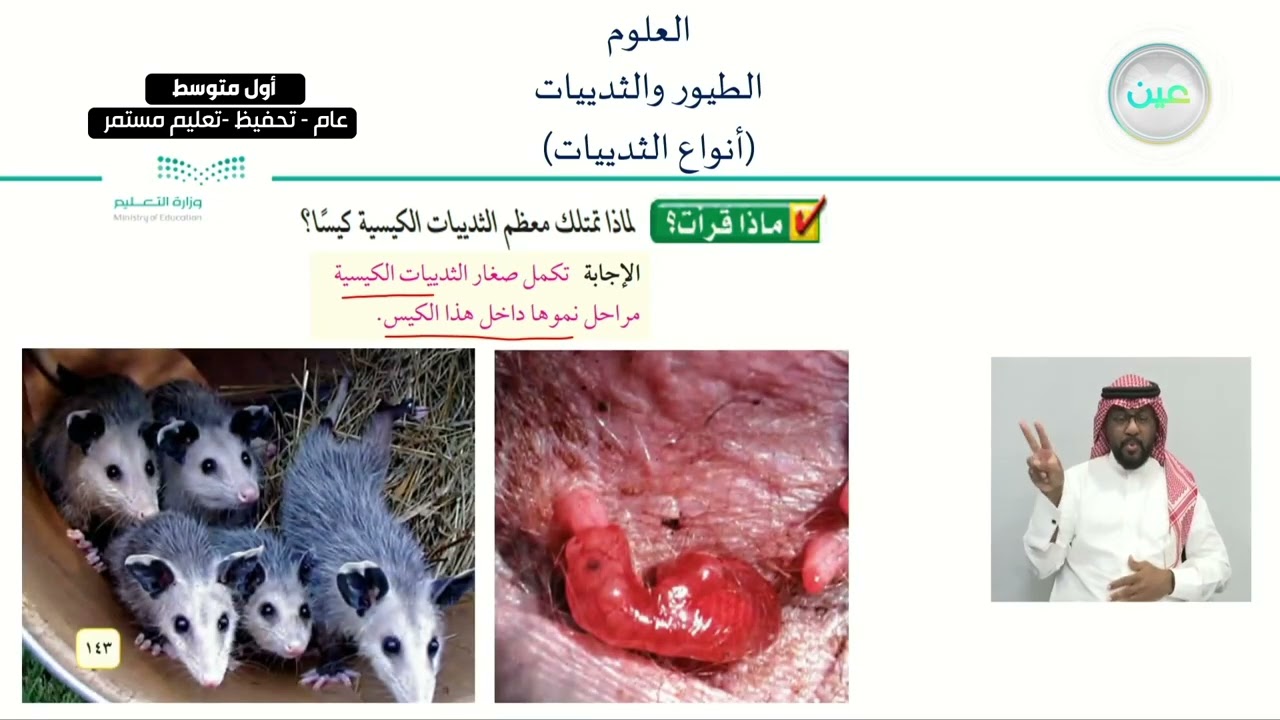 الطيور والثدييات ( أنواع الثدييات  ) - العلوم - أول متوسط