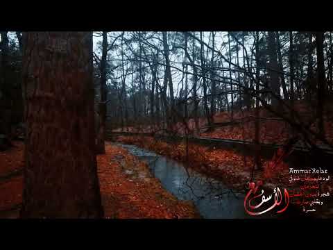 موجوع قلبي ضيع تعبي هو اللي خان حبي يا خساره مع الأسف عبدالله آل فروان بطيء صدى 