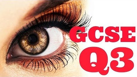 Get 100% on Paper 2 Question 3 Cambridge IGCSE Reading Paper (0522 and 0500)