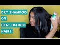 DRY SHAMPOO ON NATURAL HEAT TRAINED HAIR !   Does it Work