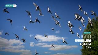 Engelleri Aşalım - Tanıtım