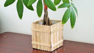 Recycled Plastic Bottle for Money Tree Pachira Aquatica Indoor Planter