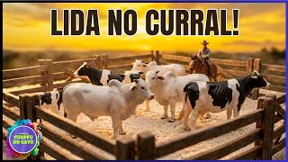 Lida no Curral! Nelores e Vacas Holandesas