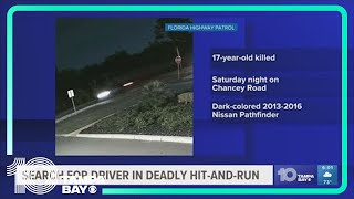 Pasco County teen killed in hit and run in crosswalk