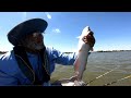 Drifting For Channel Catfish (Catch Clean Cook)
