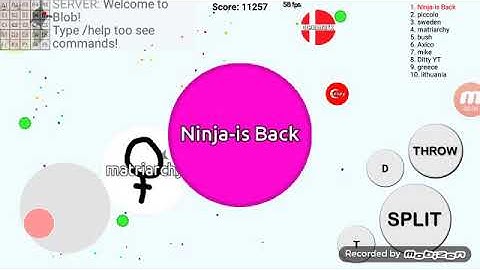 Blob.io🌷 pop split 🔥 (beast)🎃🐾