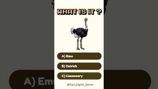 Can you get it right? ✦ English  Quiz Game (A1-B2) #englishlearning #vocabulary #games