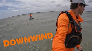Downwind foiling is freaking awesome!