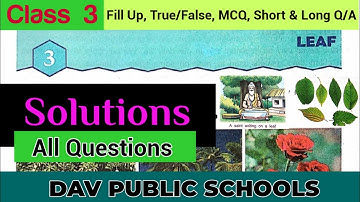 DAV class 3 Science Chapter 3 Leaf - Solutions,  All Questions (FillUp, T/F, MCQ, Short & Long Q/A)