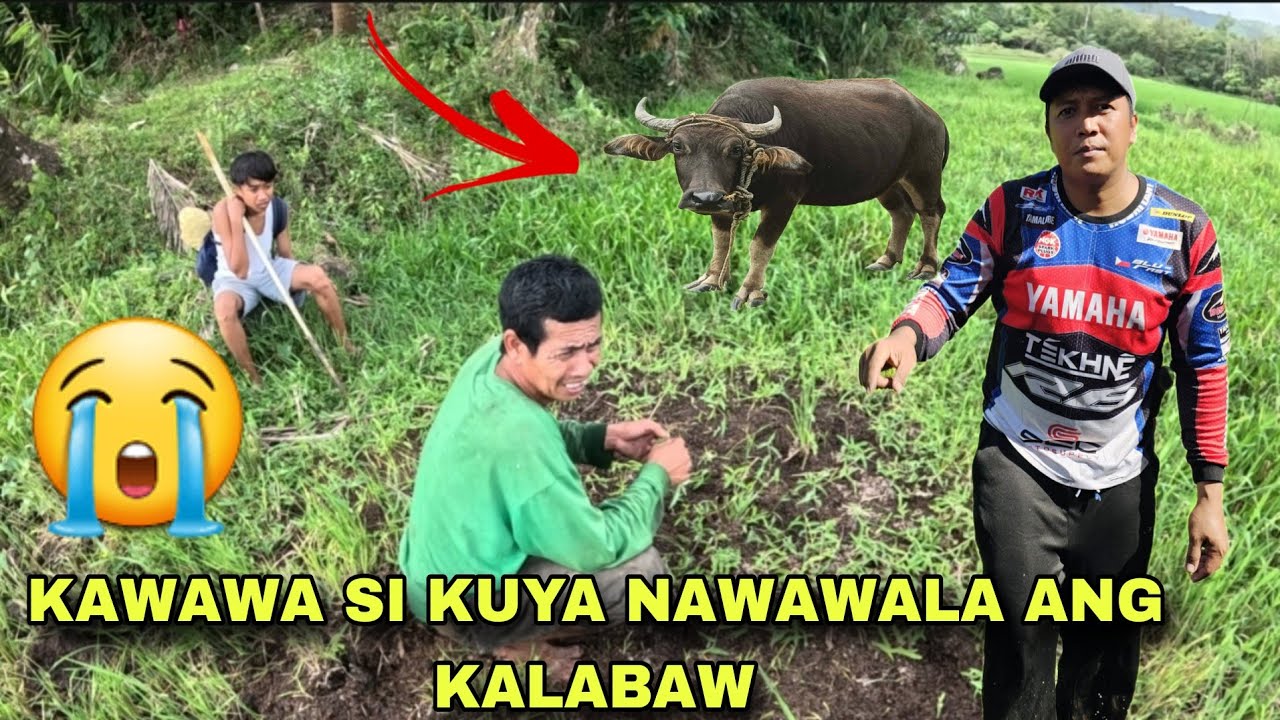 Babala maging alerto Ninakaw ang kalabaw ni kuya kawawa nanan sa kabilang Barangay mahanap sana..