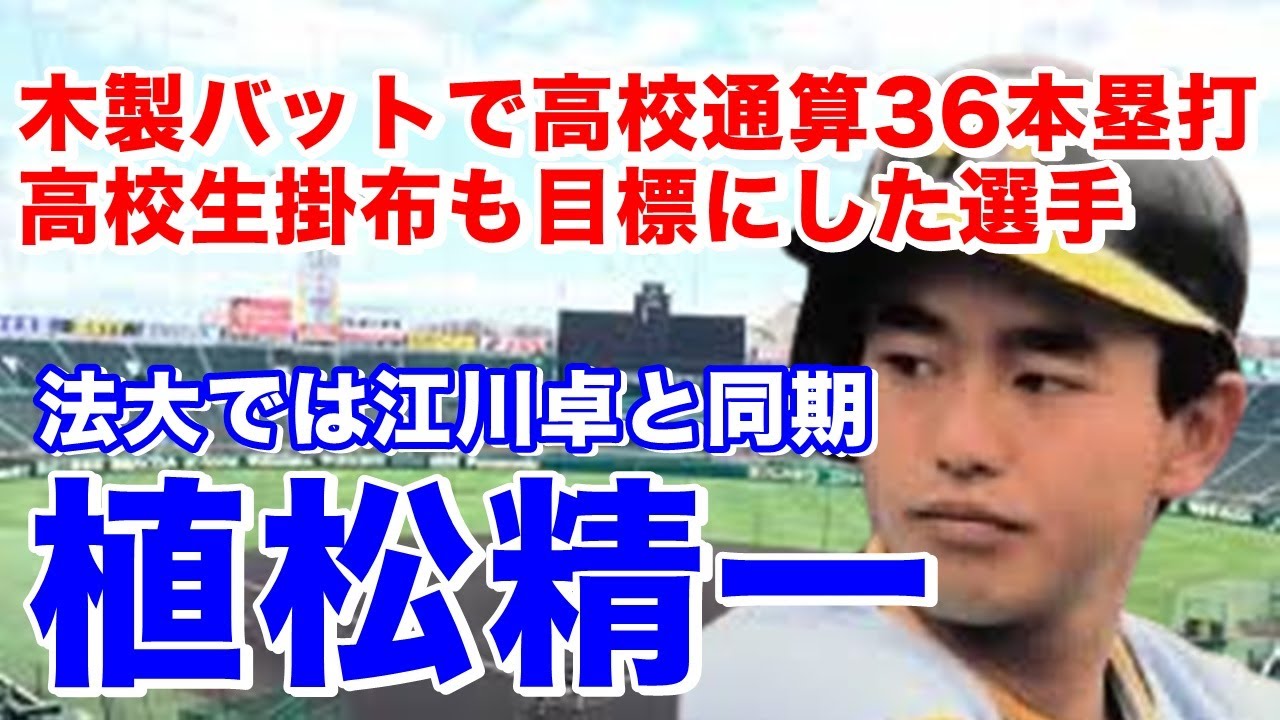 【植松精一 阪神】静岡高3年夏甲子園準優勝！法政大では江川卓らと花の49年組で活躍し4連覇含む5回優勝と法政大黄金期の映像も見もの。ドラフト2位でタイガース入団。1年目から104試合出場と期待も、、、