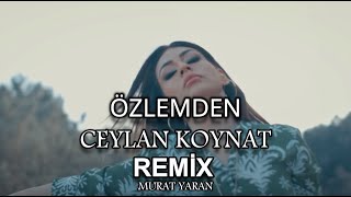Ceylan Koynat - Özlemden ( Murat Yaran Remix )