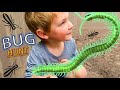 BUG HUNT ADVENTURE THROWBACK!! MAGGOT, Lizard, FIRE ANTS, Roly Poly, COCOON, WORMS &amp; MORE for KIDS!!