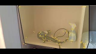 AR Point Cloud & AR Plane