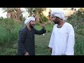 الحاسودى حسد الزرعه وصاحبها 