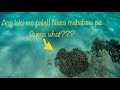 Ep1- Spearfishing | Mano-mano | Nasa mababaw lang pala!!