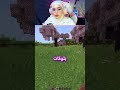 غباء ماينكرافت