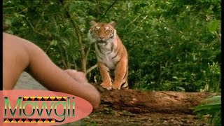 Dans la Jungle de Seonee - Mowgli - Part 1