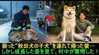 弱った“秋田犬の子犬”を連れて帰った彼…しかし成長した姿を見て、村中が驚愕した！