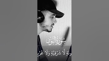 الله نور السماوات والأرض - القارئ حمزة بوديب