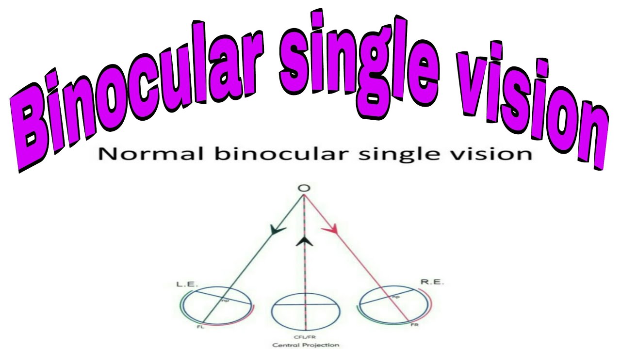 Binocular single vision Full HD 1080p Development of binocular single