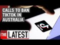 Calls to ban TikTok in Australia over suspected sinister links to China | 7NEWS