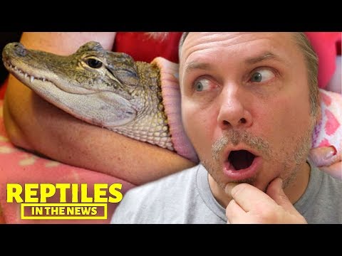 Video: Rodent Bites Sa Reptiles - Bite Sanhi Ng Rodent Sa Reptile