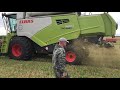 Комбайн CLAAS Tucano 580 с жаткой ConvioFlex 770 Тульская обл.