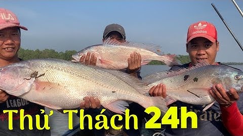 Thử thách 24h sống trên sông thu phục luôn THỦY QUÁI sông hậu | Cù Lao Dung Vlogs #99