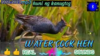 WATERCOCK HEN SOUND// LEGIT LAPITIN HUNI NG KANUGTOG #Effectiveforhunting screenshot 5