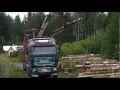 SISU, E18 cat 630 Timber truck