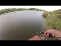 Ловля голавля из под куста на L-minnow 44