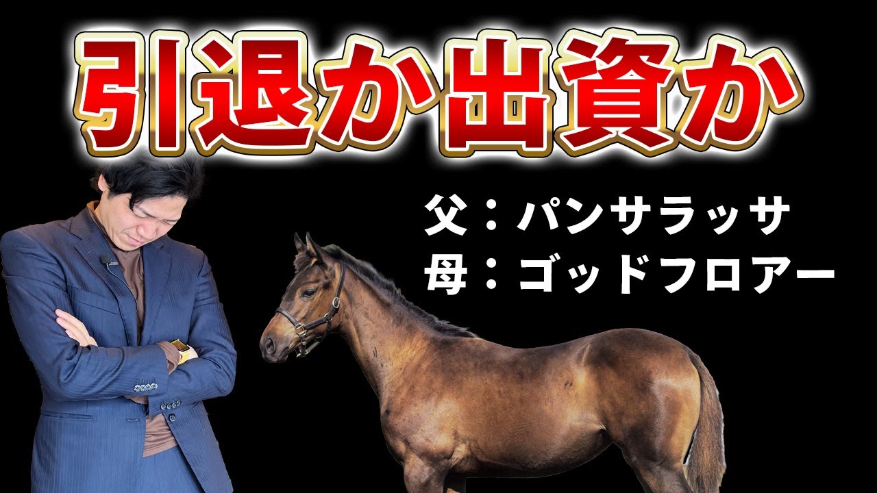 【広尾サラブレッド倶楽部】ついにパンサラッサの仔が登場！出資するべきか手を引くべきか…