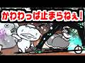 【にゃんこ大戦争】異次元コロシアム！今月は半額セット 激レア！余裕だと思ったらかわわっぱ出てきて大慌ての巻【本垢実況Re#2410】