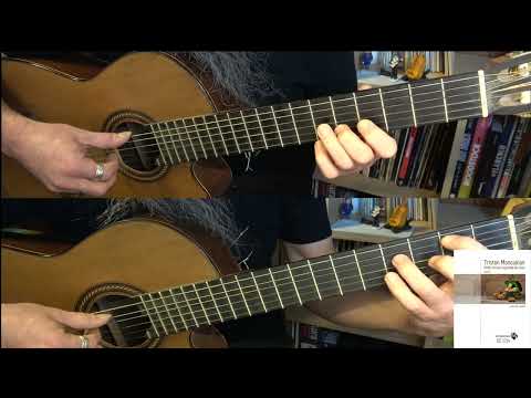 تریستان مانوکیان    دو نفره  