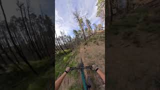 Six shooter globe video now live #mtb #downhillbike #arizona #gopro #pov