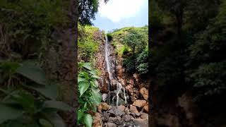 baba water falls #youtubeshorts #travelindia #traveling #maharashtra #karnataka #lehladakh #goa