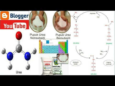 Video: Bagaimana cara menghitung persentase kemurnian?