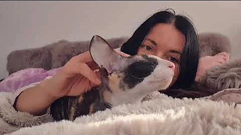 Watch the video about Cornish Rex is my favorite breed, I love, love and love my curly cats