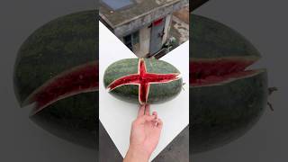 Celebrity Experiment: Will a watermelon explode if it rolls down a tall building? 🍉💥#shorts Profile