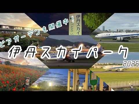 伊丹スカイパーク2025  ビアガーデンも開催中！