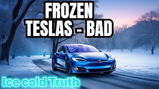Reality of The Frozen Teslas