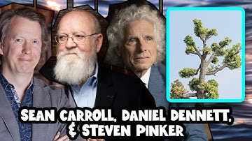 Does Physics Show that the Universe is Conscious? | Sean Carroll, Daniel Dennett, & Steven Pinker